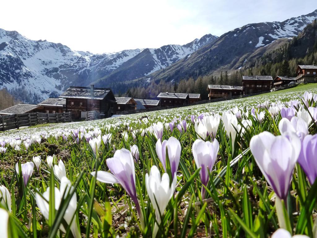 Die Natur Residenz インナーヴィルグラーテン エクステリア 写真